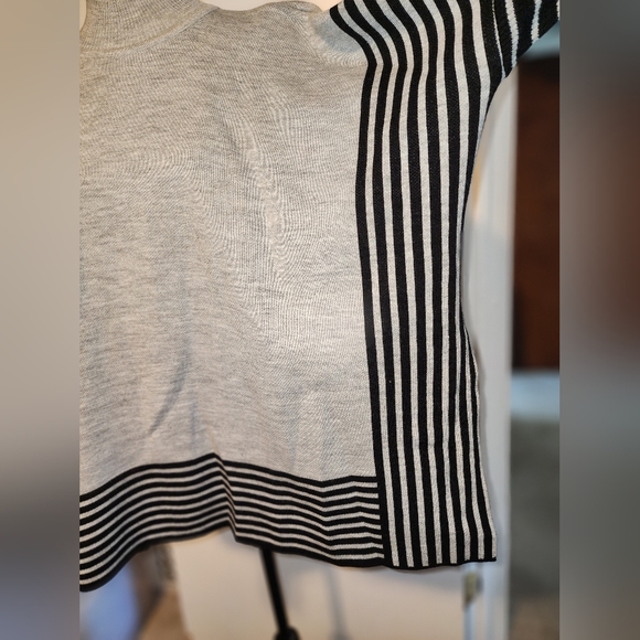 Oversized Turtleneck Tunic/Sweater - Picture 2 of 6